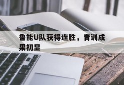 爱游戏-鲁能U队获得连胜，青训成果初显的简单介绍